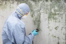 Mold Odor Removal Services in Clifton Knolls Mill Creek, NY